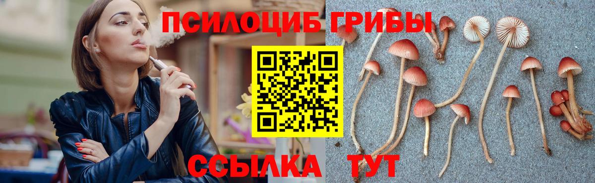 Галлюциногенные грибы Psilocybe Нижний Новгород