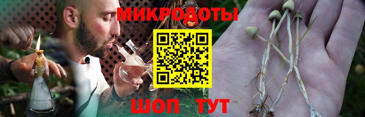 Галлюциногенные грибы мухоморы  Вход с VPN  Нижний Новгород  Псилоцибиновые грибы мухоморы 